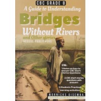 Guide to Understanding Bridges Without Rivers GD8 (Climax)