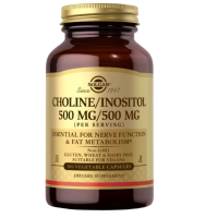 Solgar Choline Inositol 500mg 100 Capsules