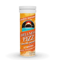 Source Naturals Wellness Fizz Tangerine 10 Wafers