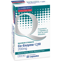 Lamberts Co Enzyme Q10 100mg 60 Capsules