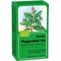 Floradix Peppermint Herbal 15 Tea Bags