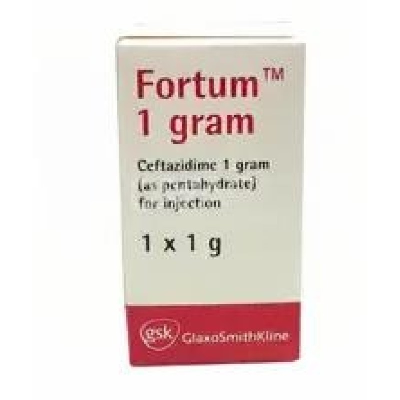 Fortum Injection Fortum Injection
