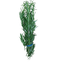 FRESH ROSEMARY SPICE PER BUNCH 
