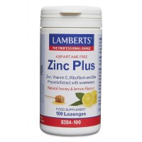 Lamberts Zinc 25mg 120s