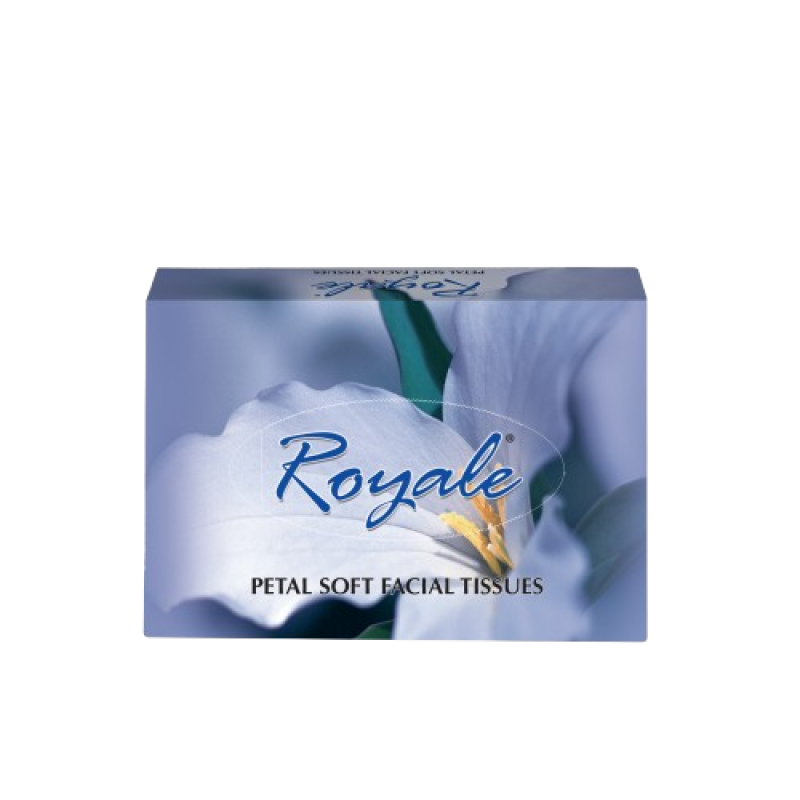 Royale 80 sheets Facial Tissues Blue 18 packets in a Carton