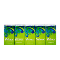 Velvex 10sheets Pocket Tissues Green Outer 12 packets in a Carton