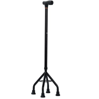 JianLian Walking Stick Quadricep