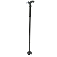 Jianlian Walking Stick