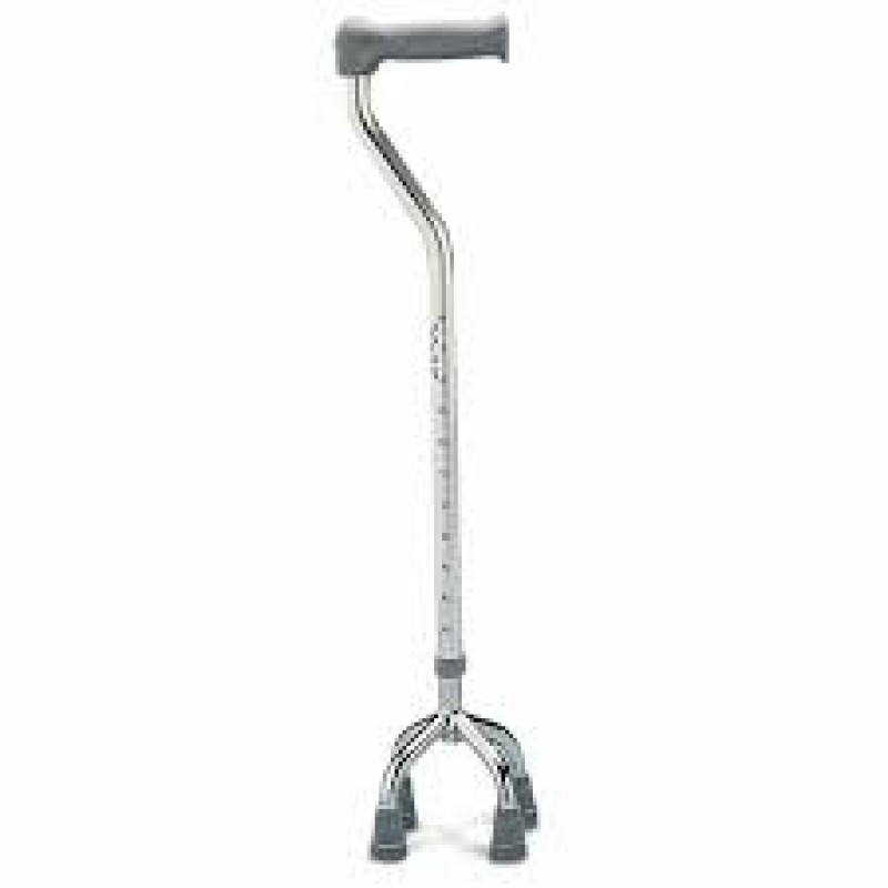 JianLian Walking Stick Quadricep