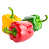 FRESH COLOURED CAPSICUM  PER KG