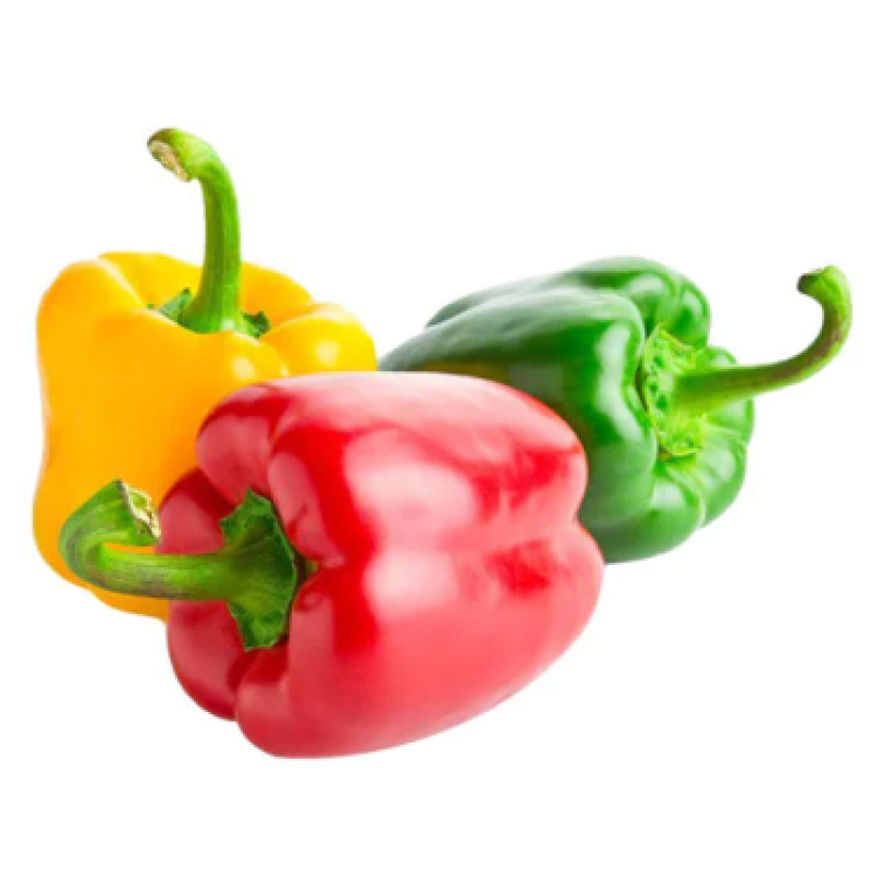 FRESH COLOURED CAPSICUM  PER KG