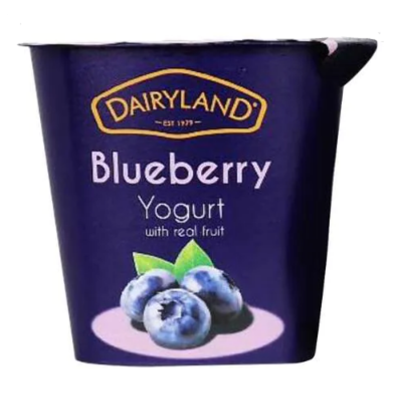 DAIRYLAND BLUEBERRY YOGURT 150ML