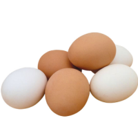 SHALIN KIENYEJI EGGS 6PK