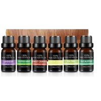 ESSENTIAL OIL 6PACK