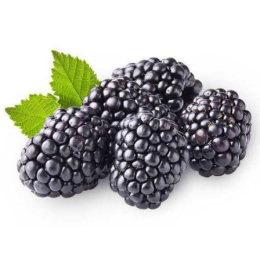 FRESH BLACK BERRIES 