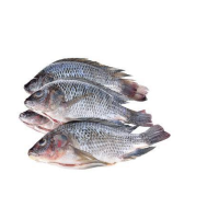 FRESH TILAPIA PER KG