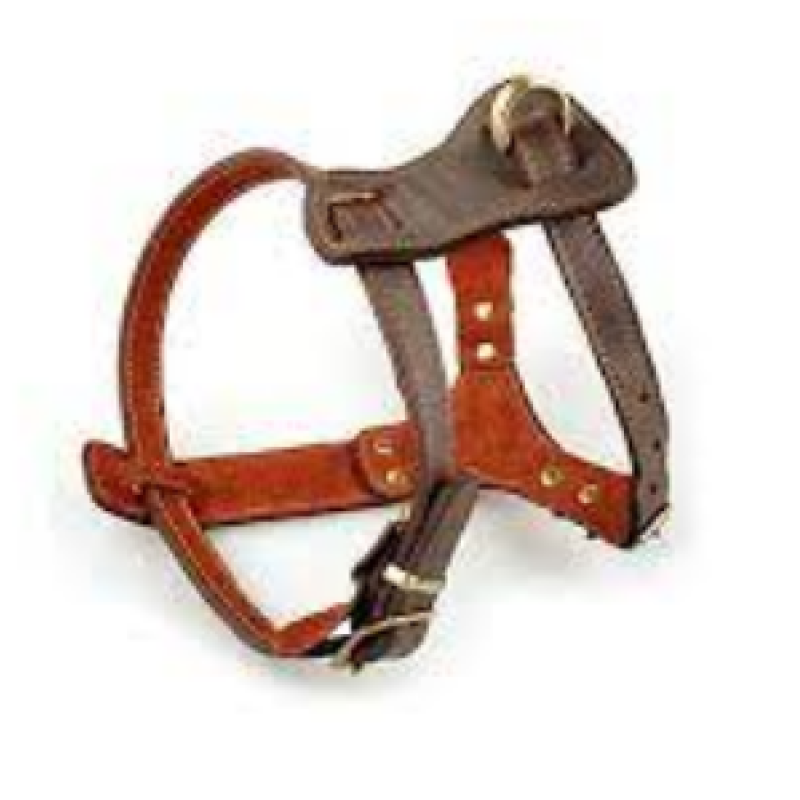 LEATHER DOG HARNESS