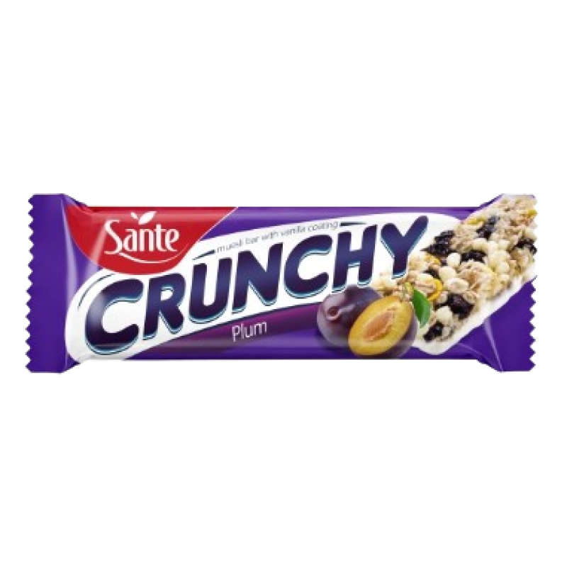 SANTE CRUNCHY PLUM MUESLI BAR 40G SANTE CRUNCHY PLUM MUESLI BAR 40G