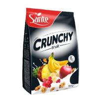 SANTE CRUNCHY FRUIT CEREAL 350G