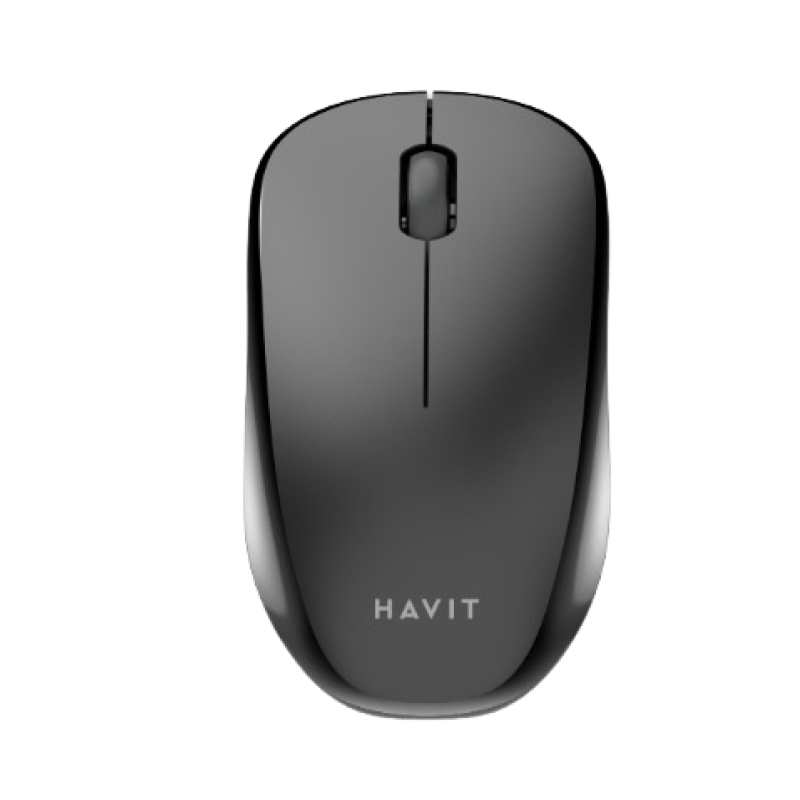 HAVIT ERGONOMIC WIRELESS MOUSE