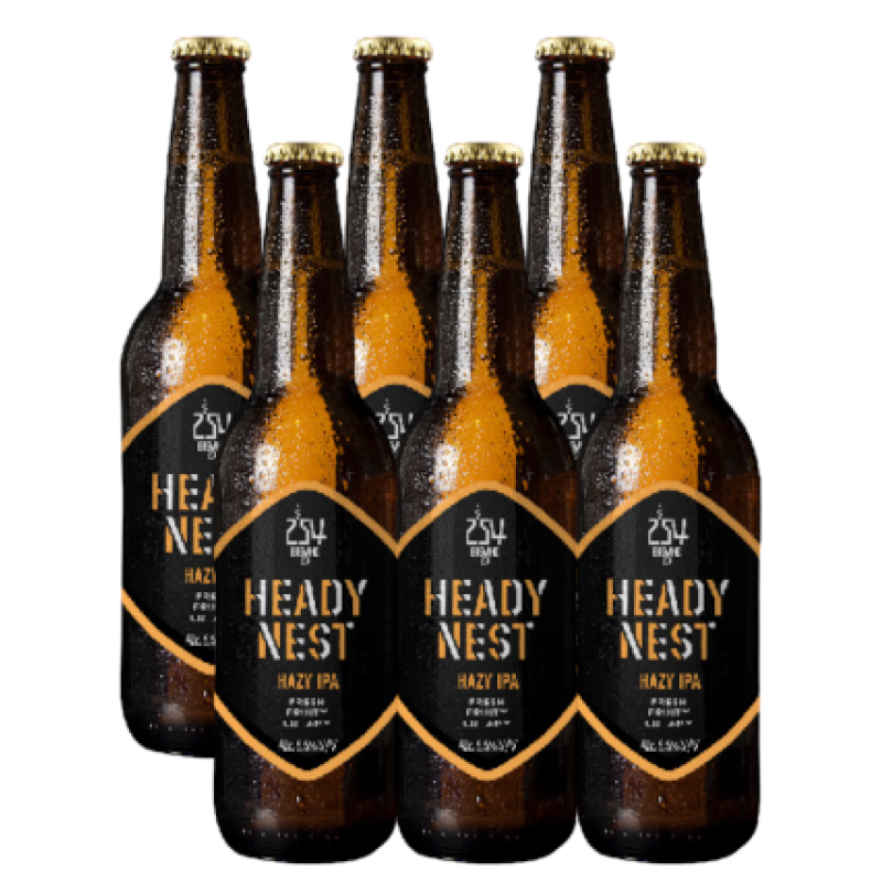 254 HEADY NEST 0.33L BEER  (6 PACK)