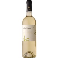 GRAN VERANO SAUVIGNON BLANC 1.5L