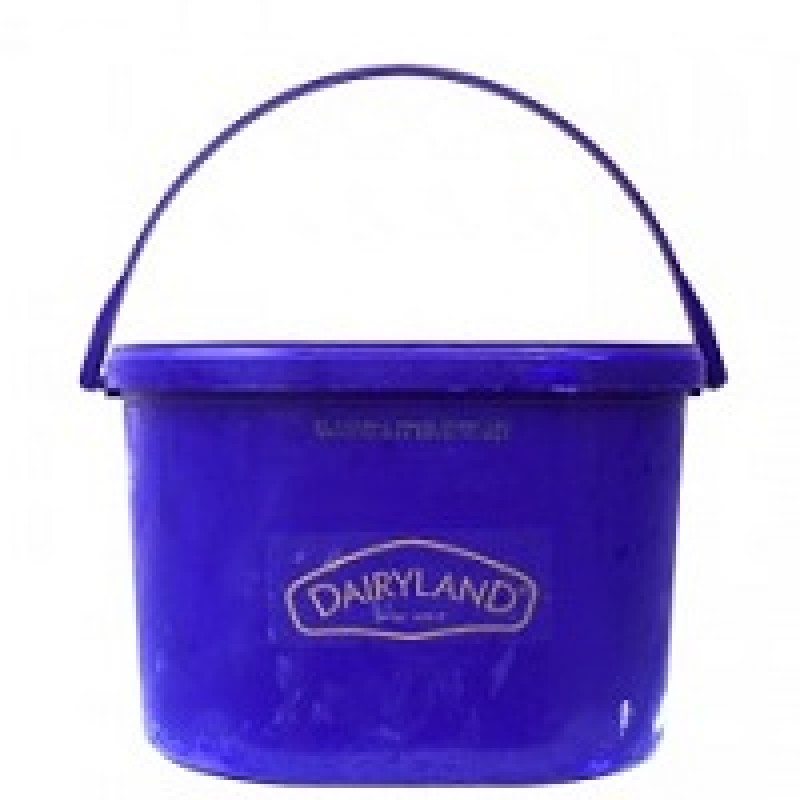 DAIRYLAND VANILLA ICE CREAM 4 L