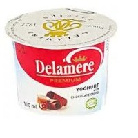 DELAMERE CHOCOLATE YOGHURT CUP 250ML