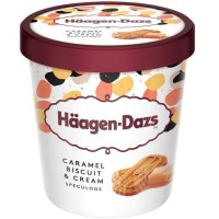 Haagen Daz Ice Cream Caramel Biscuit & Cream 460ml