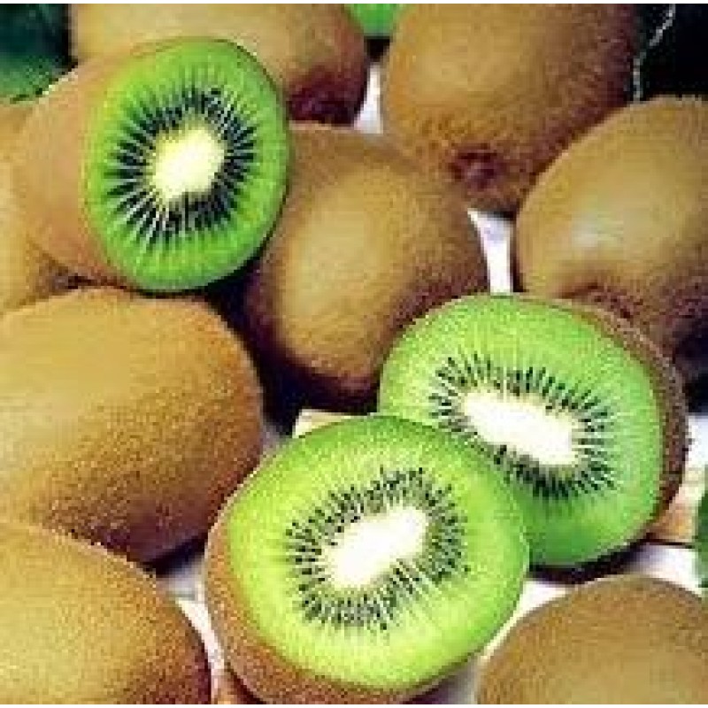 KIWI FRUIT 6PCS