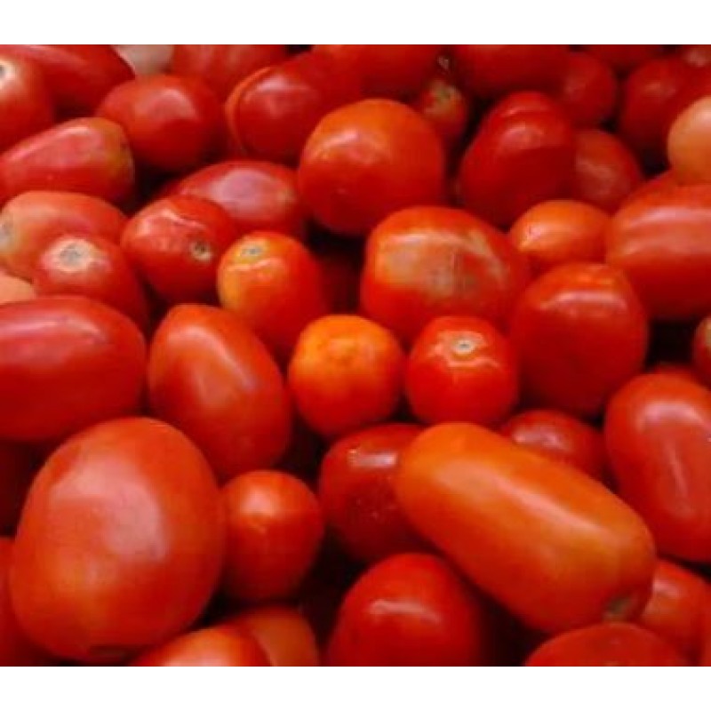 TOMATO LOOSE PER KG