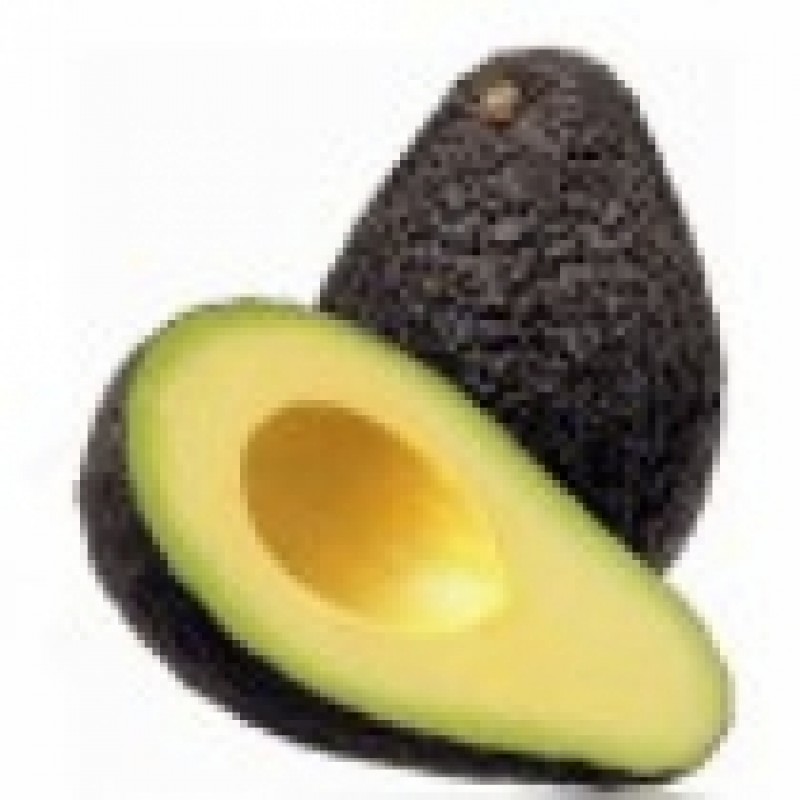 FRESH AVOCADO FRESH AVOCADO