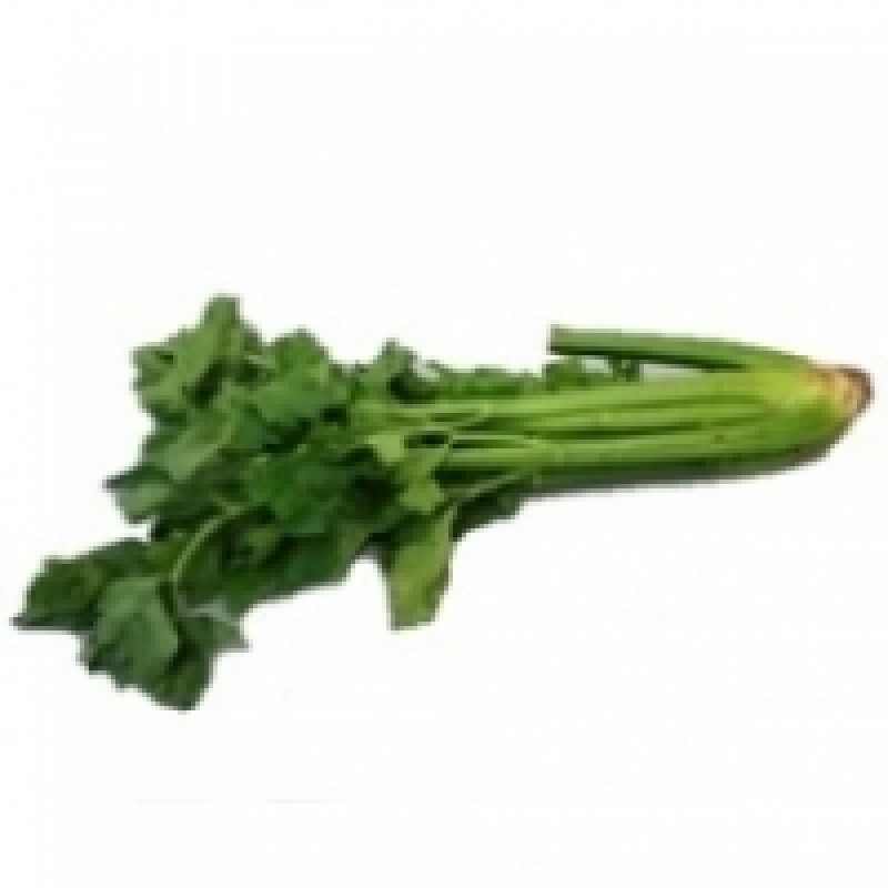 FRESH CELERY FRESH CELERY