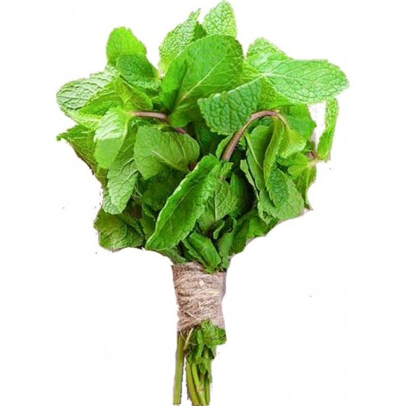 FRESH MINT LEAVES BUNCH 