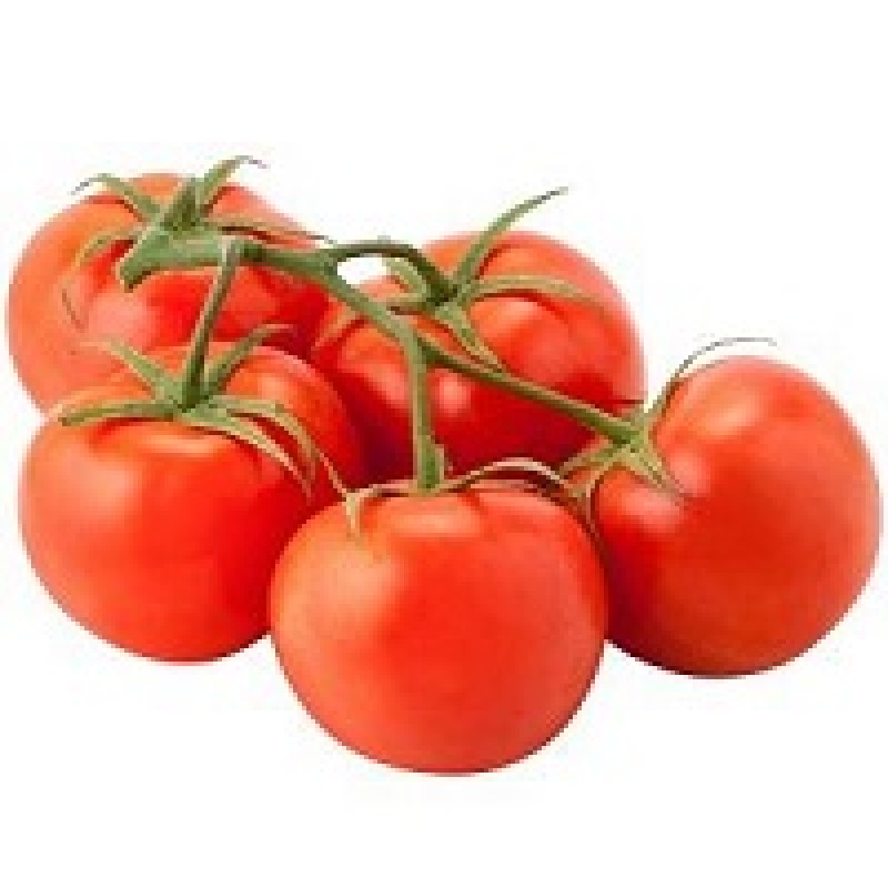 FRESH TOMATOES PER KG