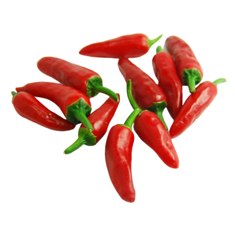 FRESH CHILLI RED BULLET