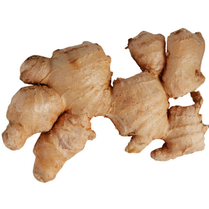 FRESH GINGER PER KG