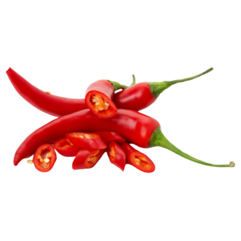 FRESH HOT  CHILLI PEPPER 