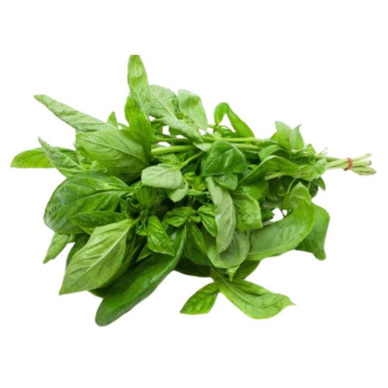 FRESH BASIL