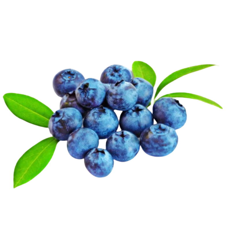 FRESH BLUEBERRIES LOCAL