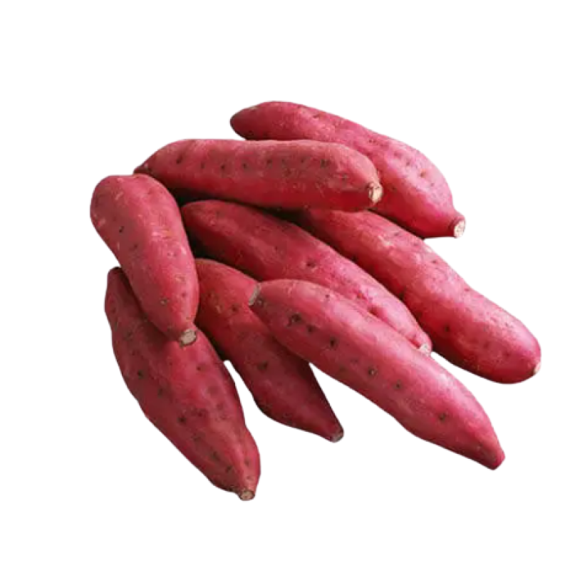 FRESH SWEET POTATOES RED