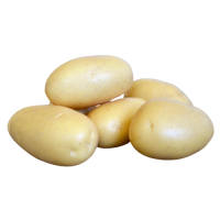 FRESH WHITE POTATO DC