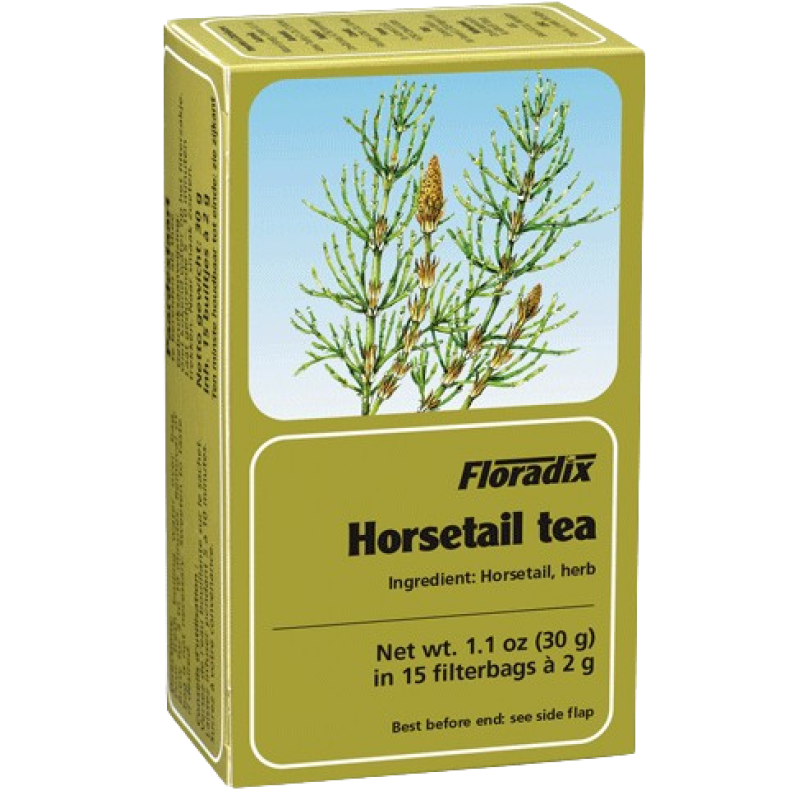 FLORADIX HORSETAIL HERBAL TEA BAGS 15's