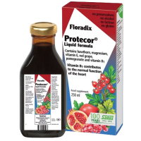  FLORADIX PROTECOR LIQUID FORMULA 250ML