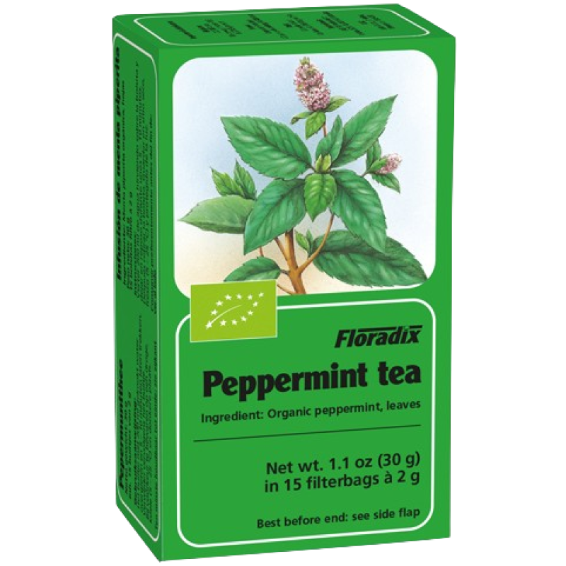 FLORADIX PEPPERMINT HERBAL TEA BAGS 15's